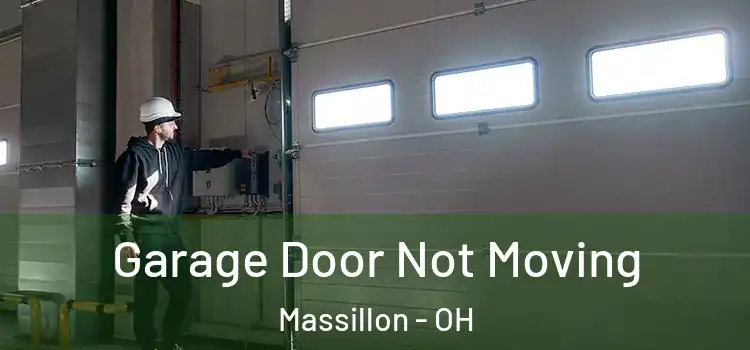  Garage Door Not Moving Massillon - OH