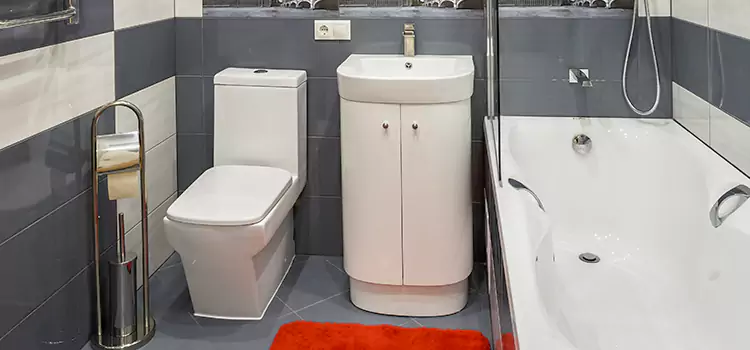Hansgrohe Shaving Mirror Massillon